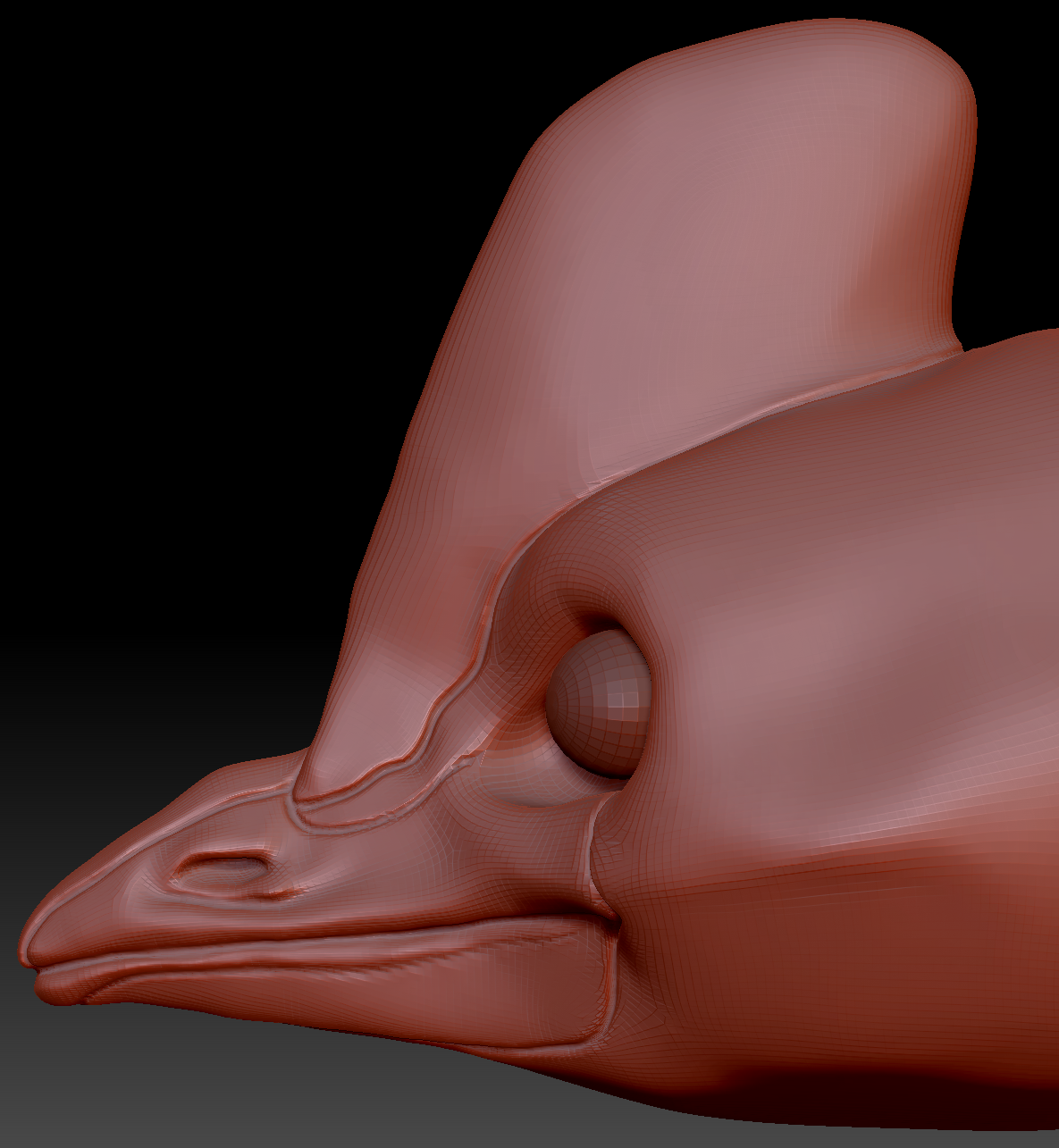 Realistic Cassowary Head Base