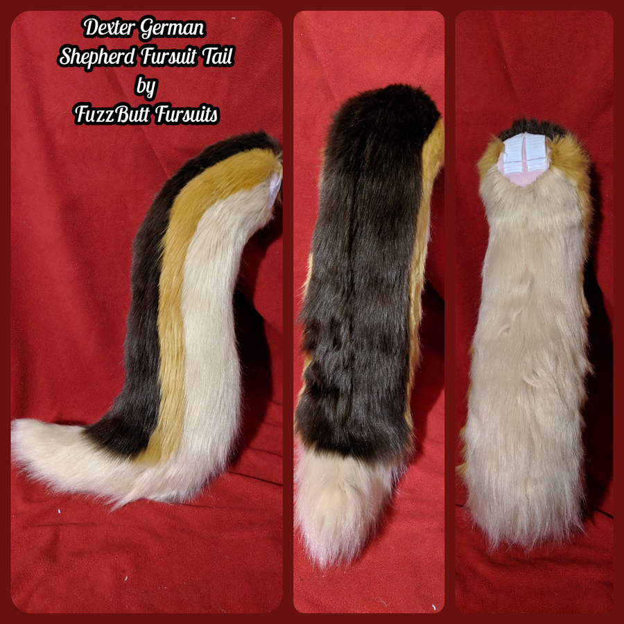 Fursuit Base buy and Tail